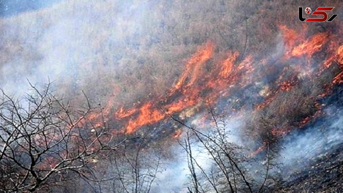 مهار آتش در جنگل‌های کنار خنج 