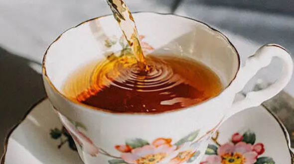 نوشیدن چای؛ راهی ساده برای محافظت از استخوان‌ ها