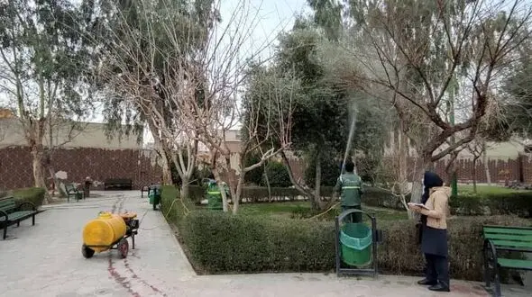 پرونده پزشکی برای 200 درخت کهنسال تهران
