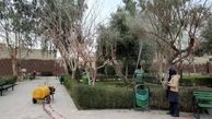 پرونده پزشکی برای 200 درخت کهنسال تهران