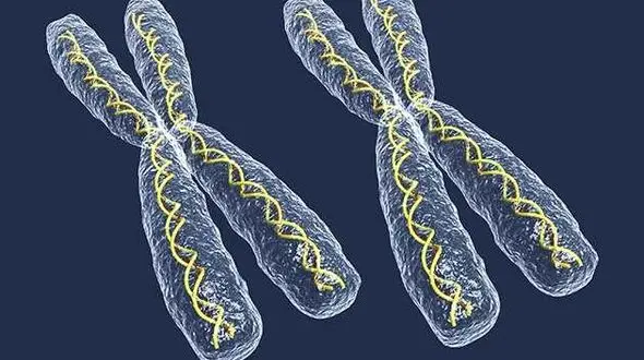 چرا زنان بیشتر به بیماری‌های خود ایمنی دچار می‌شوند؟