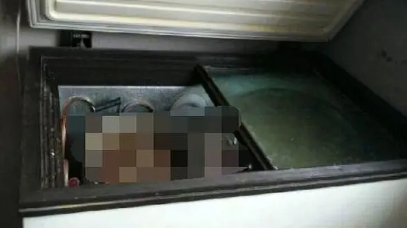 مرد بیکار جسد مادرش را 6 ماه در فریزر خانه اش نگه داشت + عکس 