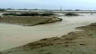  به ۲۵۰ هکتار از زمین‌های کشاورزی شهرستان سقز بر اثر سیلاب آسیب وارد شد