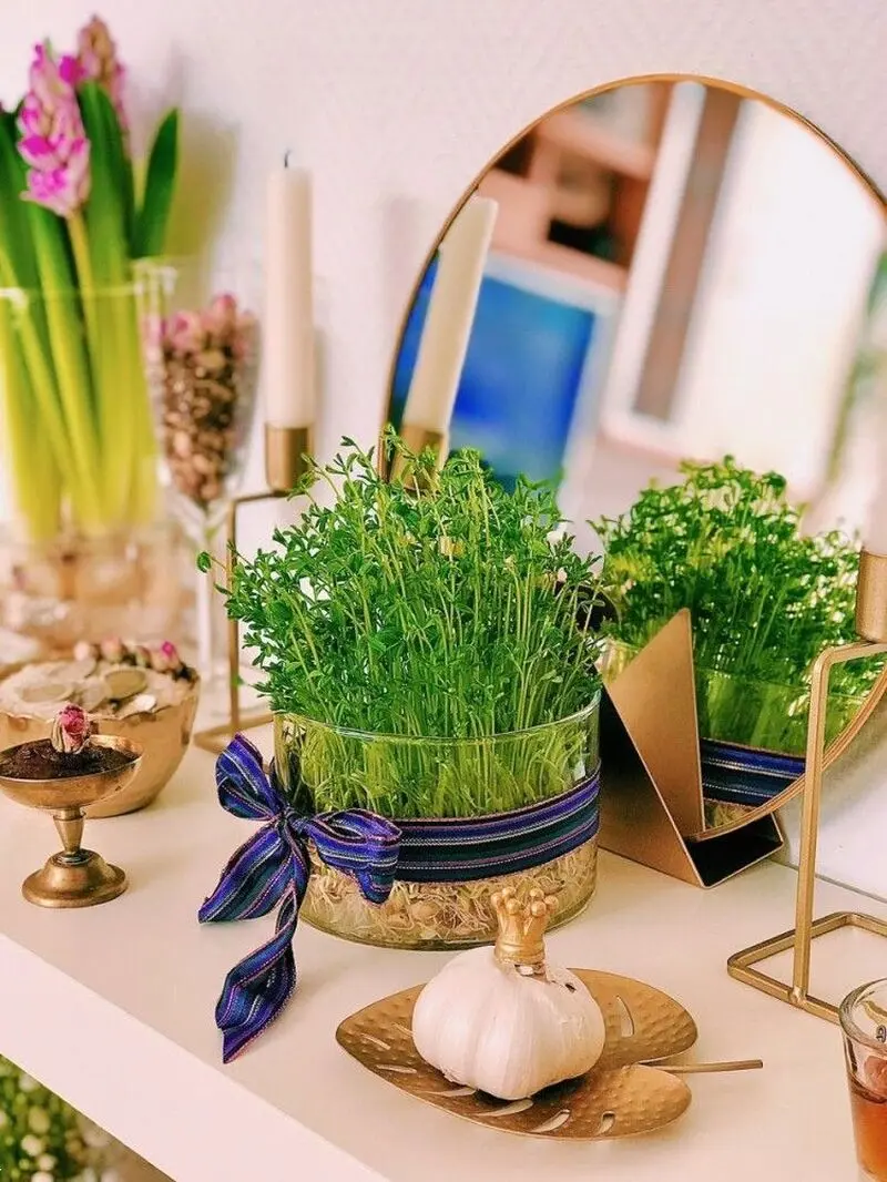 مدل سبزه عید ۱۴۰۵ | بهترین ایده های خلاقانه ساده و جذاب مدل سبزه عید ۱۴۰۵ مخصوص عروس هایی که میخوان سفره هفت سین شیکی داشته باشن!