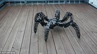 تولد یک عنکبوت غول آسای رباتیک+ فیلم و عکس