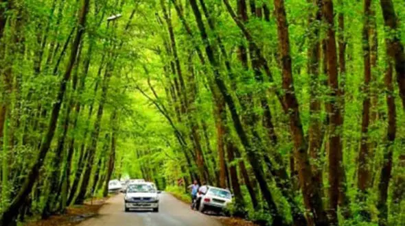 دوله‌ملال؛ نگین سبز ماسال در دل جنگل‌های گیلان + فیلم