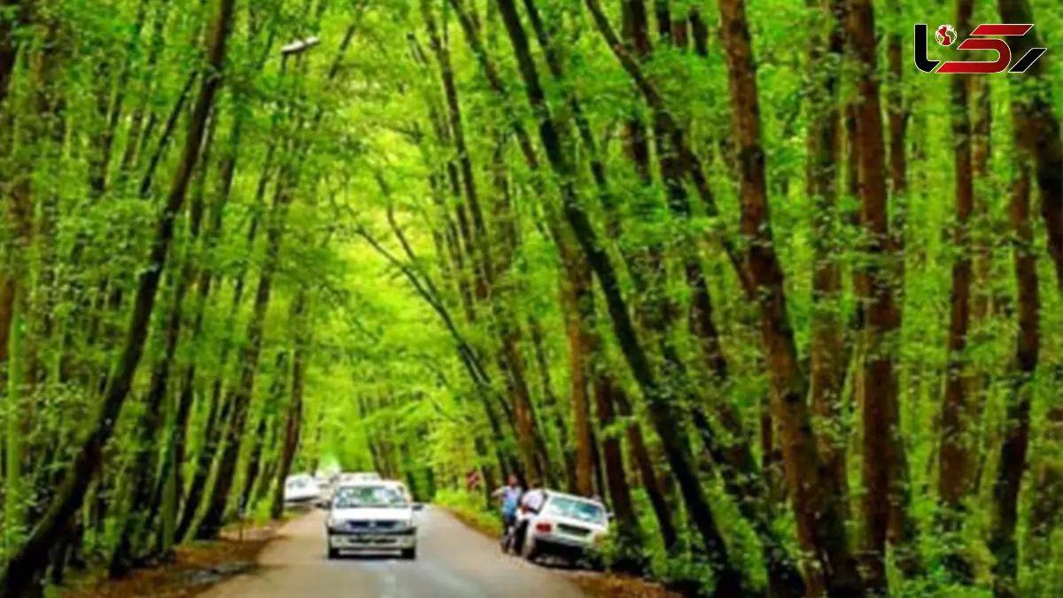 دوله‌ملال؛ نگین سبز ماسال در دل جنگل‌های گیلان + فیلم