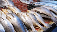 لیست قیمت روز انواع ماهی و میگو در تاریخ 14 اردیبهشت