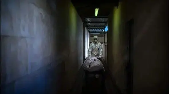 دانشگاه آمریکایی اجساد را برای آموزش در اختیار ارتش اسرائیل قرار می‌دهد