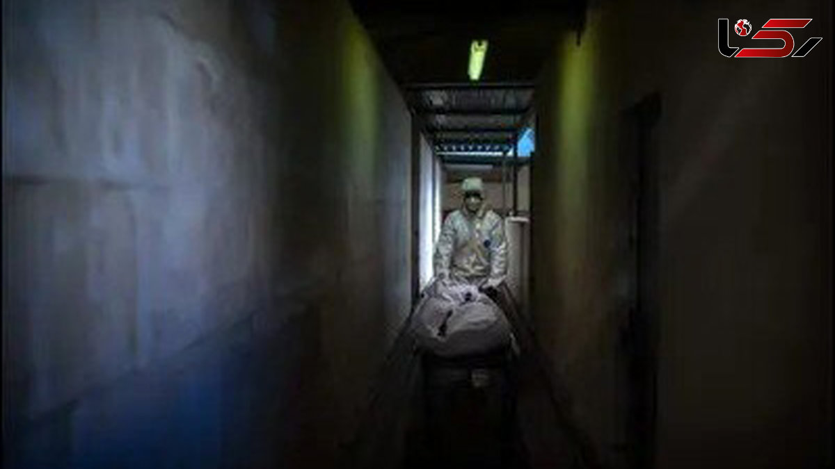 دانشگاه آمریکایی اجساد را برای آموزش در اختیار ارتش اسرائیل قرار می‌دهد