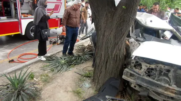 پراید در برخورد با درخت نصف شد!/ معجزه را ببینید +تصاویر