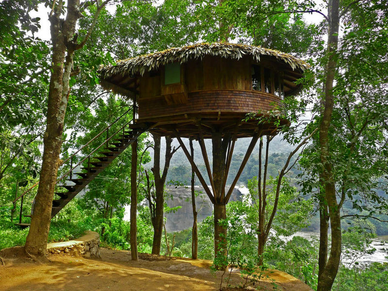 amazing-tree-house-designs-5 - Copy