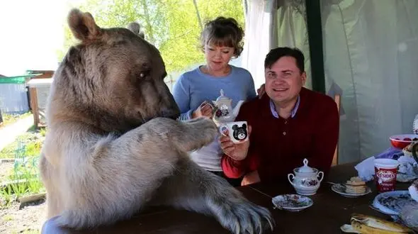 زندگی صمیمانه و عجیب یک زوج شجاع با خرس غول پیکر +تصاویر جالب 