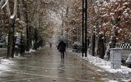 بارش برف و باران در برخی استان های ایران / کاهش دما در نوار شمالی