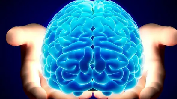 با عملکرد مغز انسان بیشتر آشنا شوید