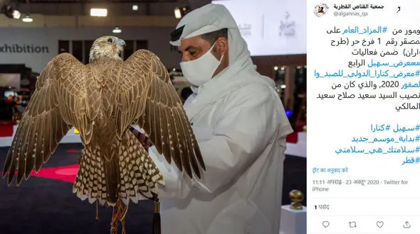 گران ترین بالابان قطر را ببینید + فیلم و عکس