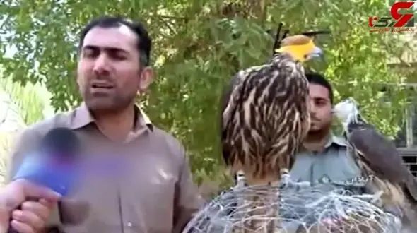 شیخ اماراتی 200 میلیون تومان برای بالابان ایرانی پول‌ خرج می کند+ فیلم 