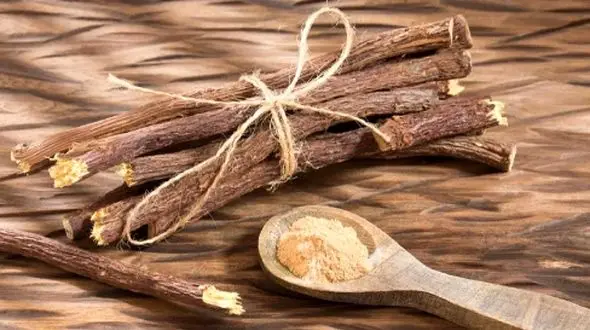 بهترین گیاه برای مراقبت از دستگاه گوارش / کشف شگفتی‌ ها