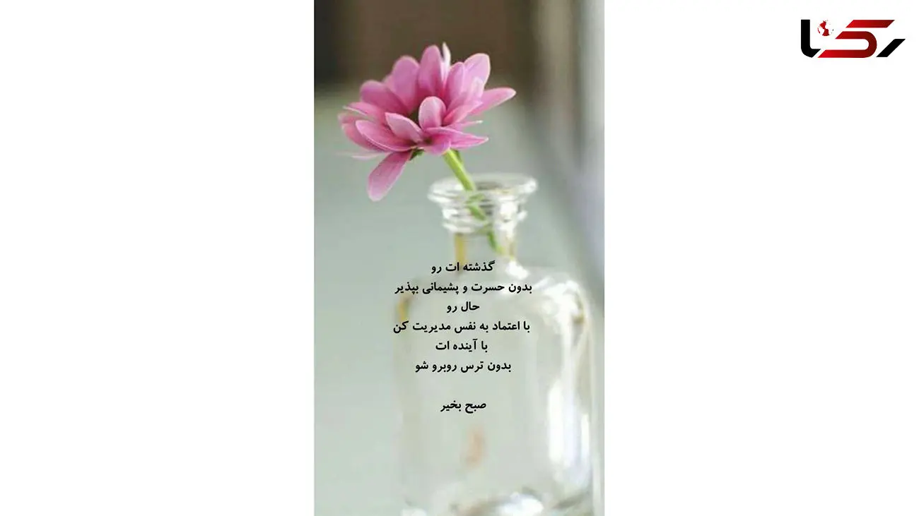 فال روزانه شخصی / 28 بهمن ماه + فیلم