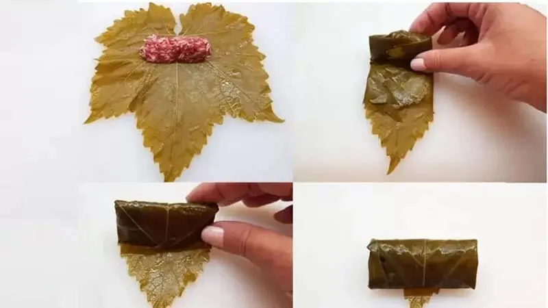 پیچیدن دلمه برگ مو