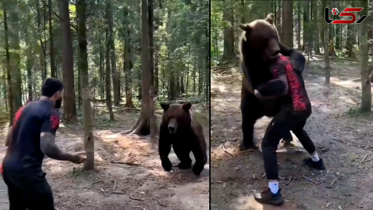دوستی عجیب انسان با خرس / مردجوان را در آغوش گرفت + فیلم 