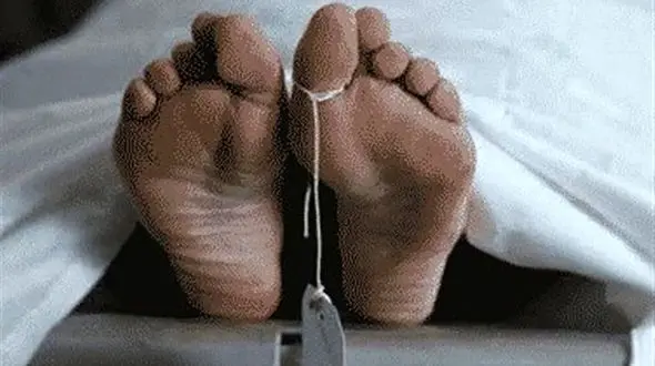 کشف استخوان‌های پسر گمشده در کوه‌های امام‌زاده داوود 