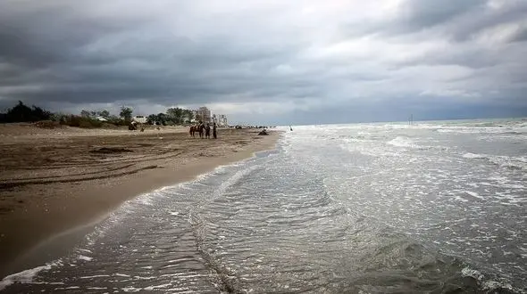 پیامدهای سقوط تراز آب خزر؛ از کاهش زادآوری ماهیان تا اختلال در فعالیت بنادر