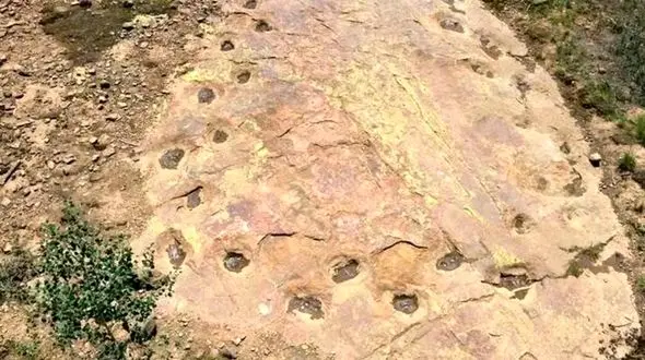 جذاب‌ ترین کشف دایناسوری: 150 میلیون ساله با پاهای لنگان