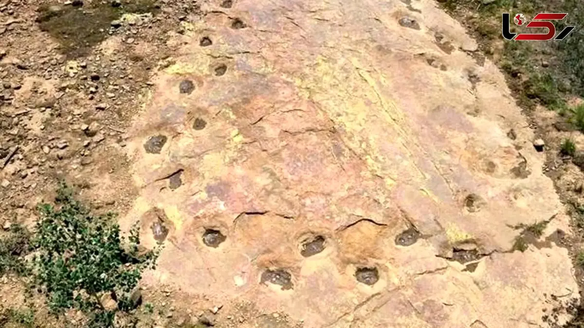 جذاب‌ ترین کشف دایناسوری: 150 میلیون ساله با پاهای لنگان