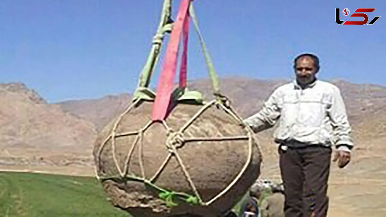 کشف کوزه عظیم الجثه باستانی پر از سکه های طلا در تخت جمشید + عکس گنج نفیس