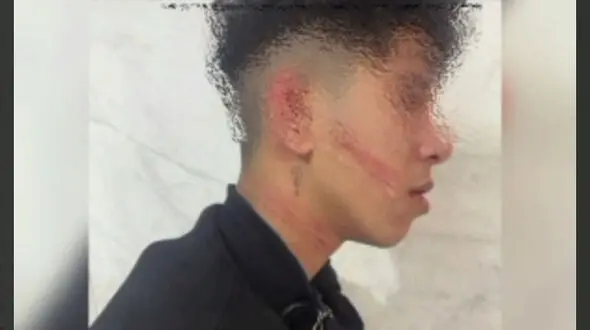 دستگیری موبایل‌قاپ نوجوان با ۲۵ فقره سرقت در اتوبان بعثت