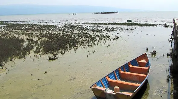 استاندار گلستان: خلیج گرگان در حال خشک شدن است