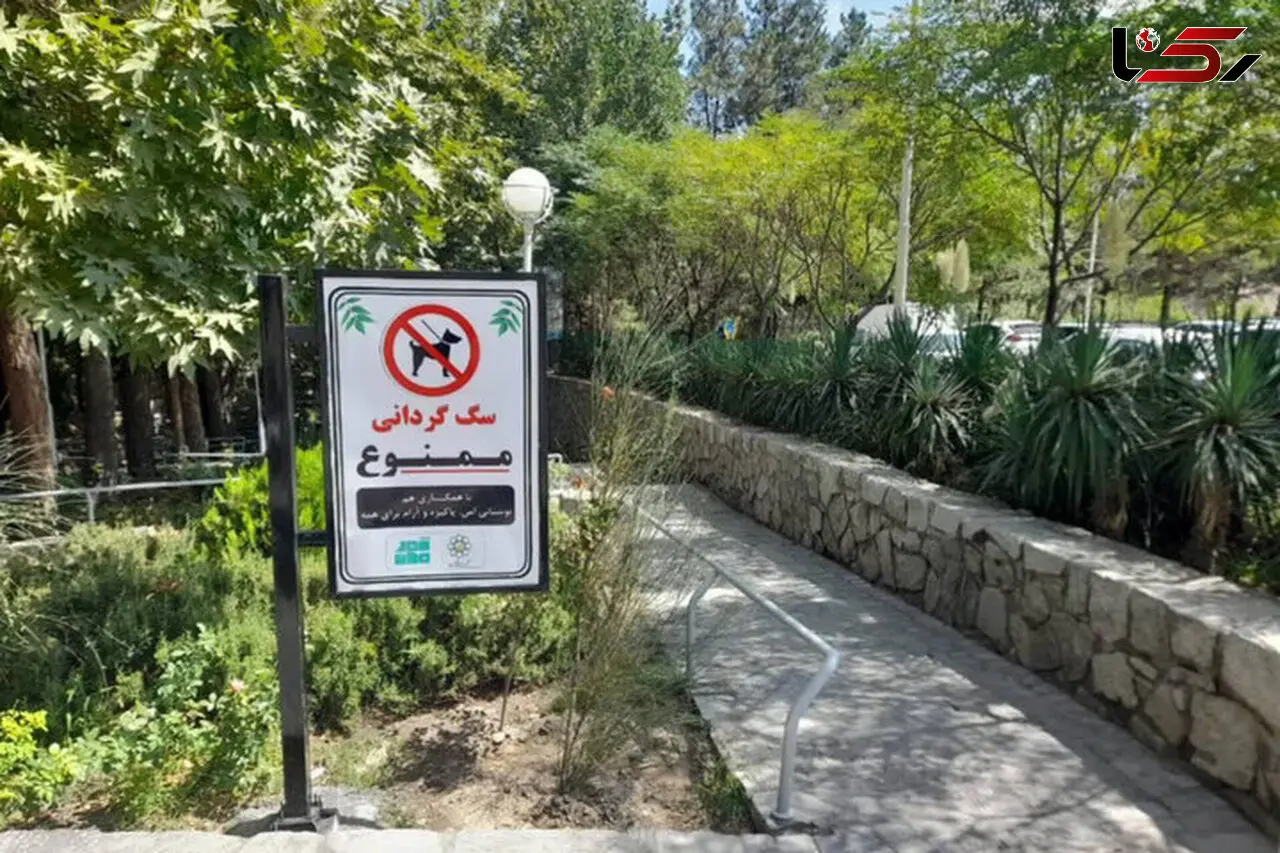 سگ‌گردانی؛ معلول تغییر سبک زندگی و گسترش فردگرایی در شهرها