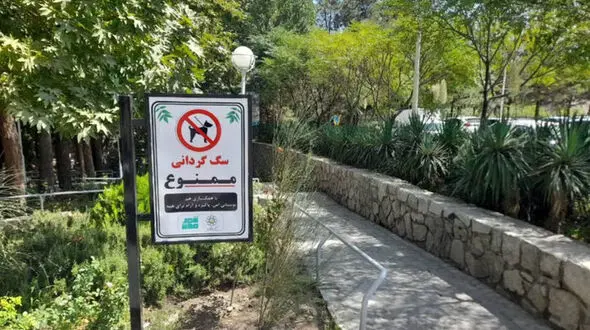سگ‌گردانی؛ معلول تغییر سبک زندگی و گسترش فردگرایی در شهرها
