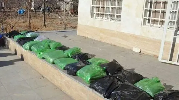 غافلگیری گردانندگان بزرگ قاچاق مواد در یک باغ + عکس