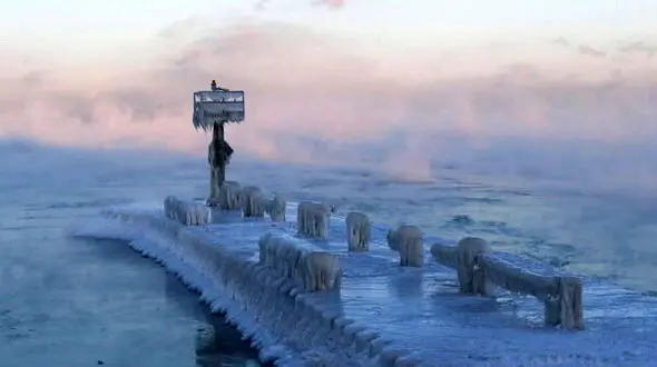 21 کشته بر اثر سرما کشنده / تصویری دردناک از یخ زدن گنجشک ها +تصاویر