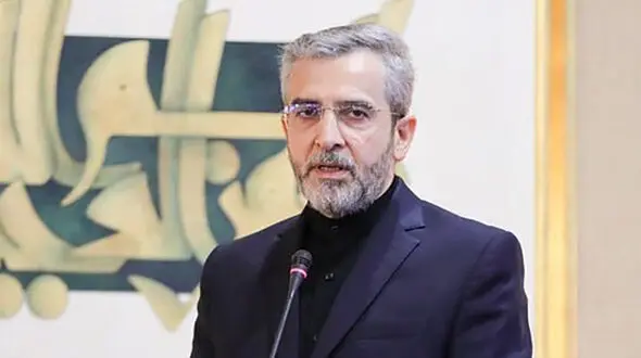 باقری حادثه سقوط هواپیمای مسافربری در برزیل را تسلیت گفت 
