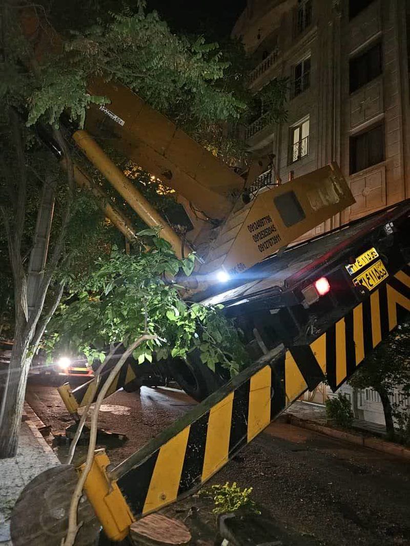 واژگونی جرثقیل