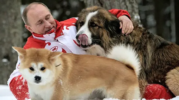 از سگ‎های پوتین تا اسب‎های ملک عبدالله+تصاویر