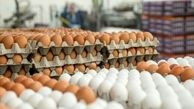  ۴تن تخم مرغ در میاندوآب کشف شد
