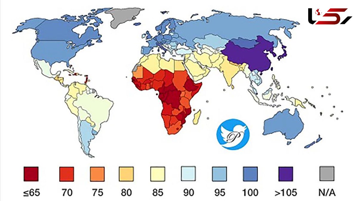 رتبه آی کیو ایرانیان در جهان مشخص شد