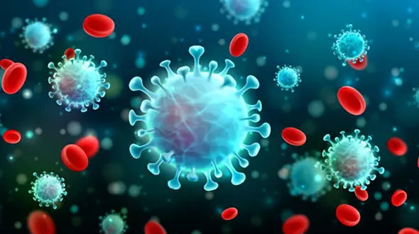 «کرونا» می تواند از طریق غذا به بدن منتقل شود