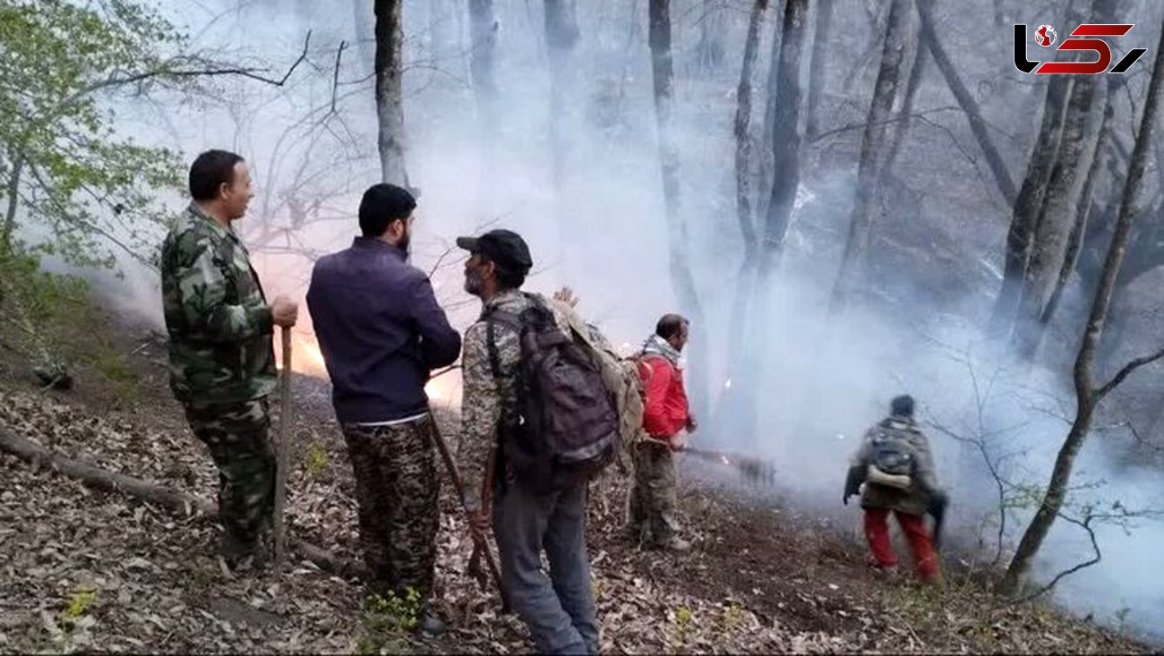 آتش‌سوزی در جنگل‌های «ترجنلی» گالیکش مهار شد
