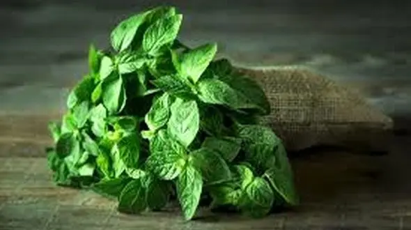 درمان فوری آسم با 3 گیاه خوشبو