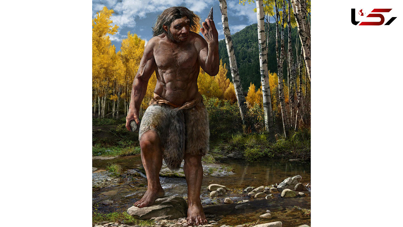 مرد اژدهایی: گونه‌ای جدید از انسان‌ اولیه