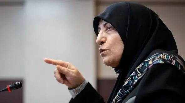 حوزه زنان مغز متفکر ندارد/کمبود شغل برای زنان تحصیلکرده از مصادیق خشونت است/پست‌های دولتی در اختیار زنان نمایشی است