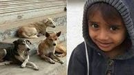 دستور استاندار هرمزگان در خصوص کودکی که خوراک سگ های وحشی شد + عکس 
