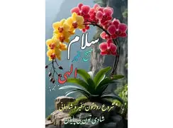 تعبیر فال ابجد امروز 29 آذر