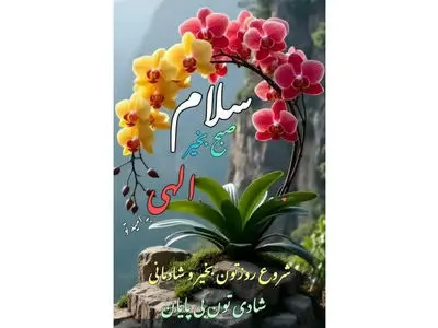 تعبیر فال ابجد امروز 29 آذر