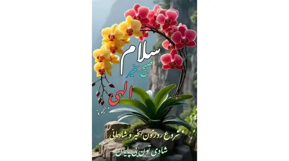 فال و طالع بینی امروز 9 تیر ماه 1405